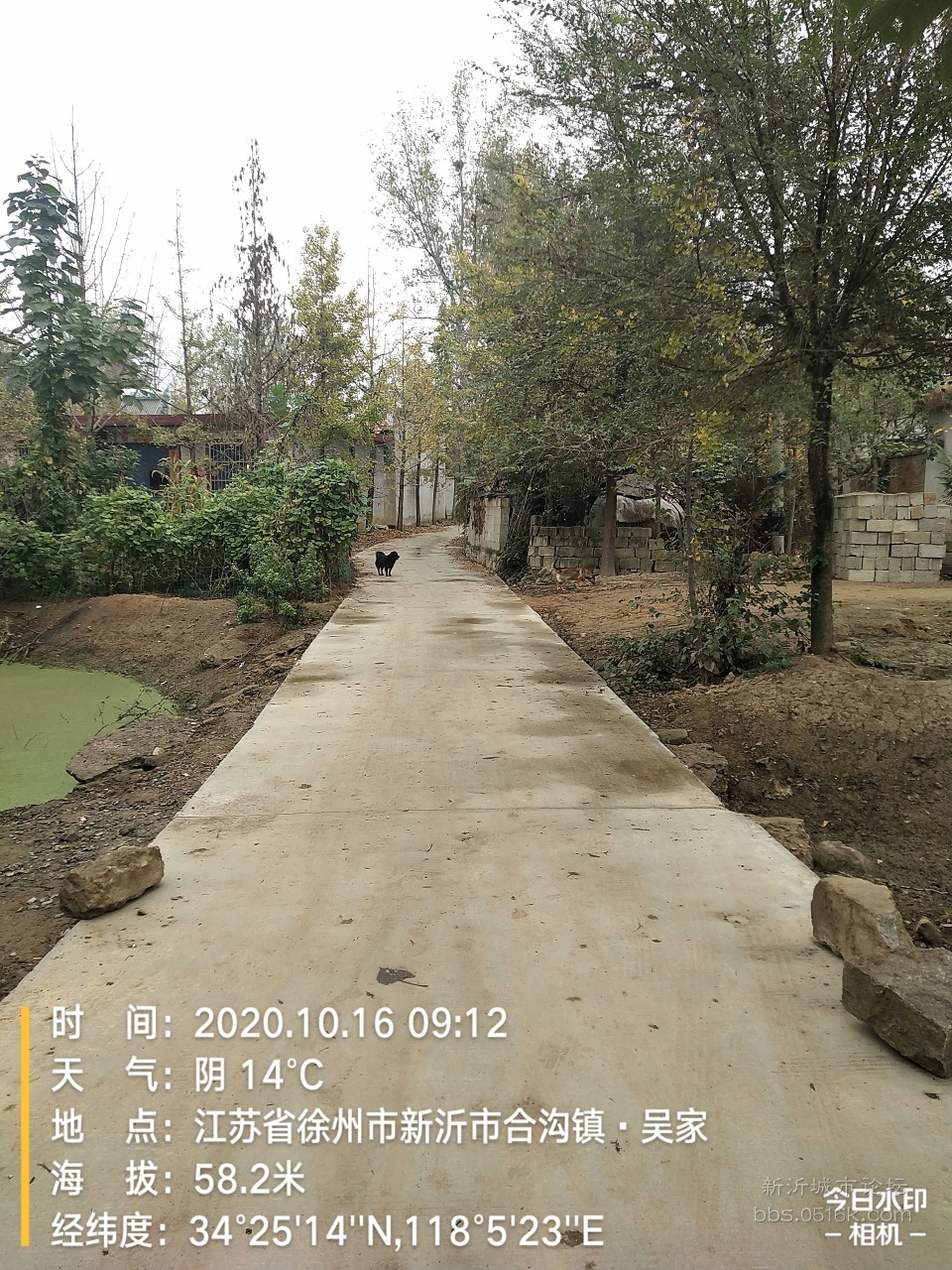 新沂市合沟镇政府,还我血汗钱!